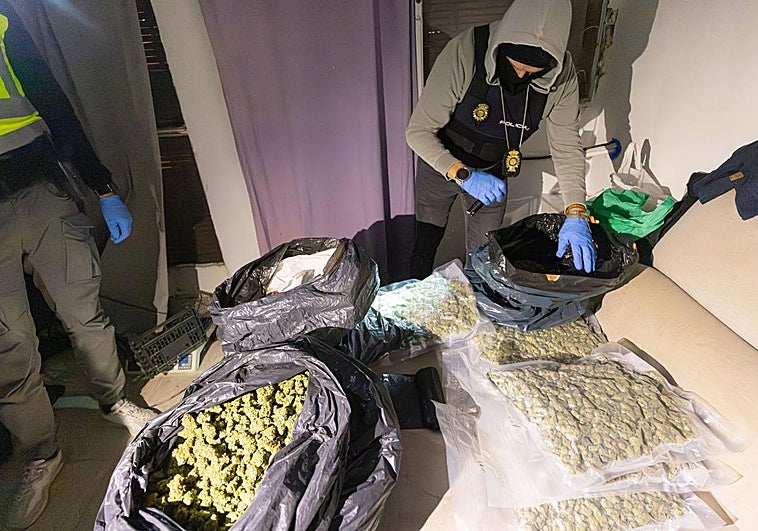 Los peligros de los pactos entre las mafias de la marihuana en Granada